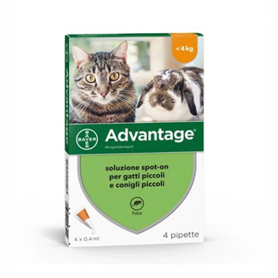 Bayer advantage spot-on - gatti e conigli 0-4 kg