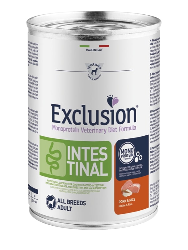 Exclusion diet cane intestinal - umido