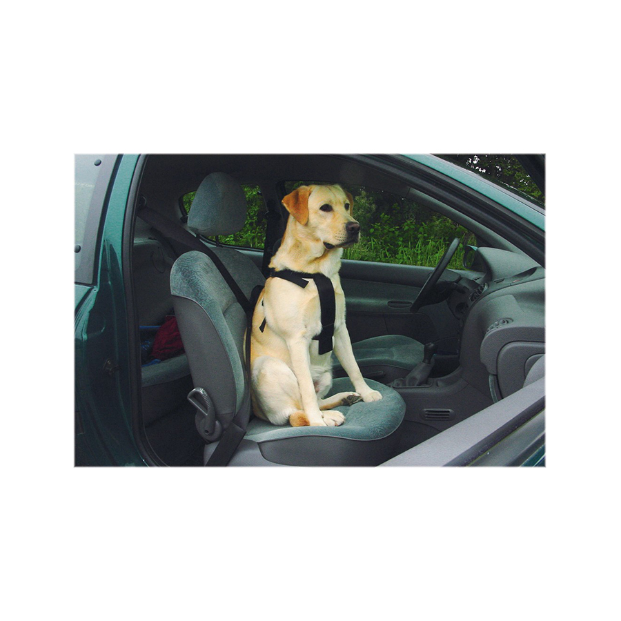 Cintura sicurezza auto per cane - Zooplanet shop