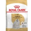 Royal canin maltese