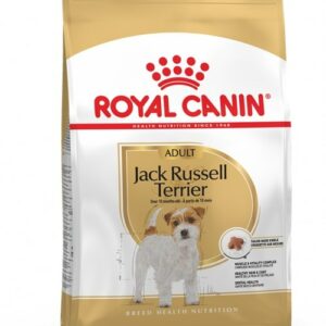 Royal canin jack russell