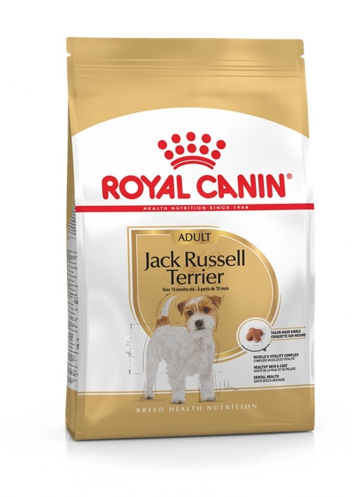 Royal canin jack russell