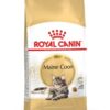 Royal canin cat maine coon
