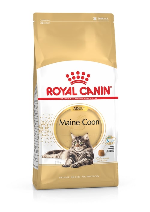 Royal canin cat maine coon