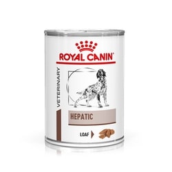 Royal canin hepatic dog