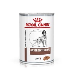 Royal canin cane veterinary gastrointestinal