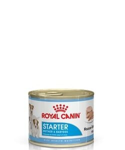 Royal canin dog starter mousse