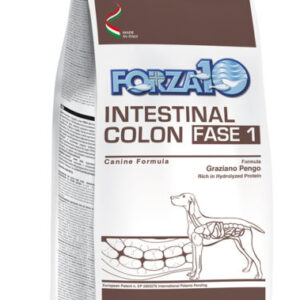Forza10 intestinal colon fase 1 dog