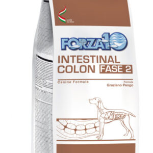 Forza10 intestinal colon fase2 dog