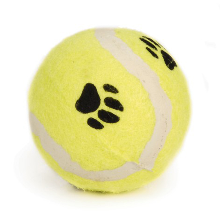 Gioco cane pallina tennis con impronta